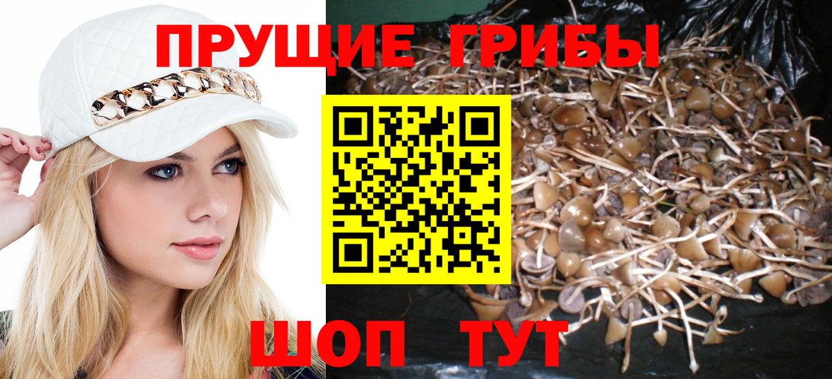 Псилоцибиновые грибы мухоморы Узловая